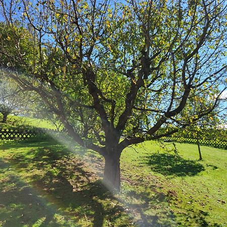ליבניץ Ferienhaus Zangl Am Seggauberg - Suedsteiermark מראה חיצוני תמונה