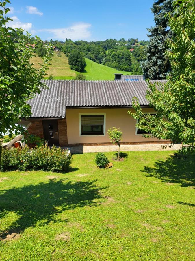 ליבניץ Ferienhaus Zangl Am Seggauberg - Suedsteiermark מראה חיצוני תמונה