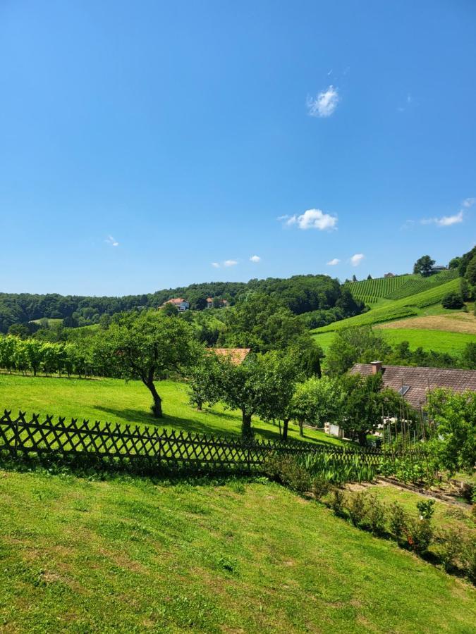 ליבניץ Ferienhaus Zangl Am Seggauberg - Suedsteiermark מראה חיצוני תמונה