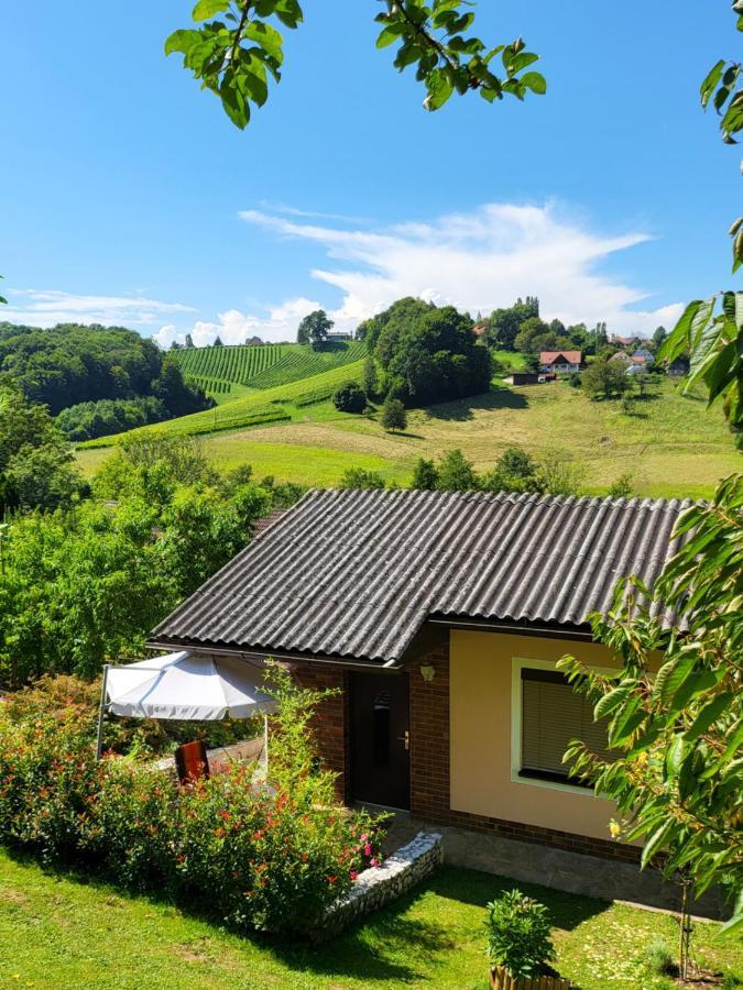 ליבניץ Ferienhaus Zangl Am Seggauberg - Suedsteiermark מראה חיצוני תמונה