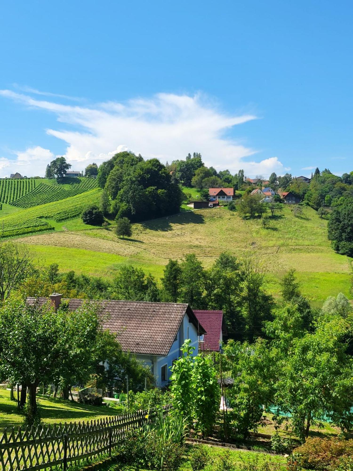 ליבניץ Ferienhaus Zangl Am Seggauberg - Suedsteiermark מראה חיצוני תמונה