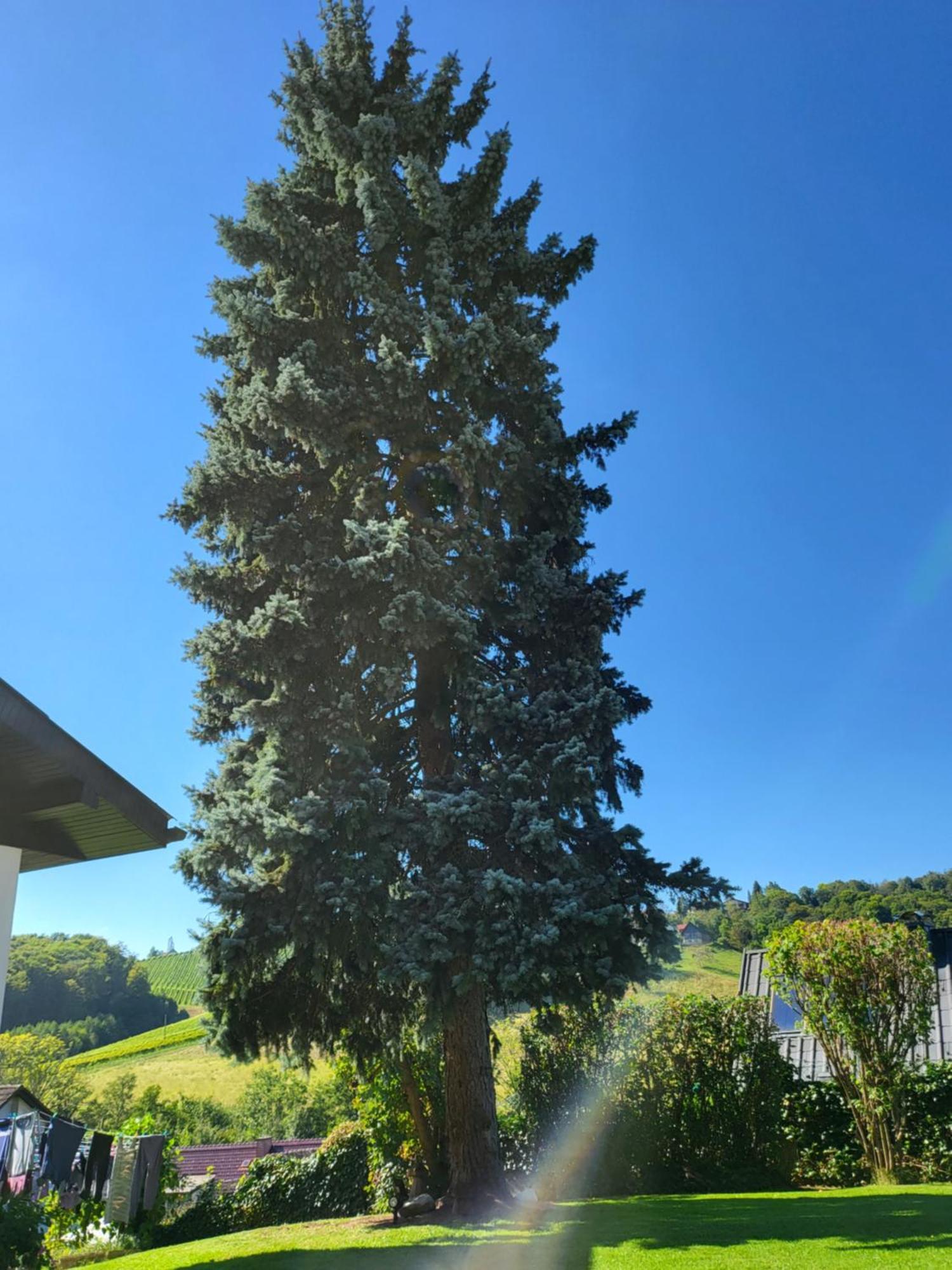 ליבניץ Ferienhaus Zangl Am Seggauberg - Suedsteiermark מראה חיצוני תמונה