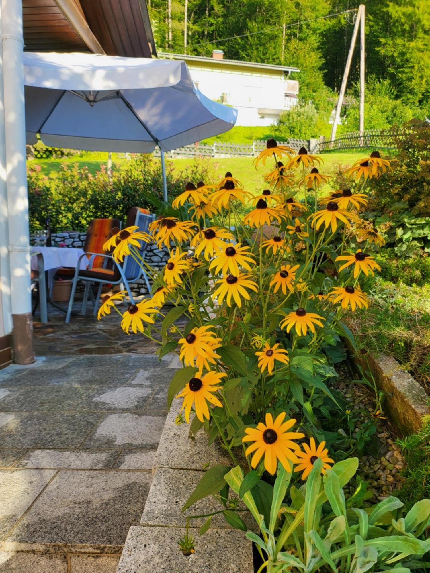 ליבניץ Ferienhaus Zangl Am Seggauberg - Suedsteiermark מראה חיצוני תמונה